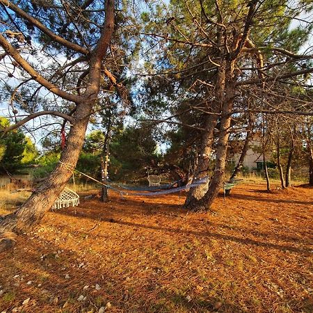 Apartmani Bellevue Вир Екстер'єр фото